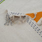 DSC_7789-scaled-1.jpg
