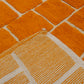 Tapis traditionnel Azilal 300 X 214 Cm